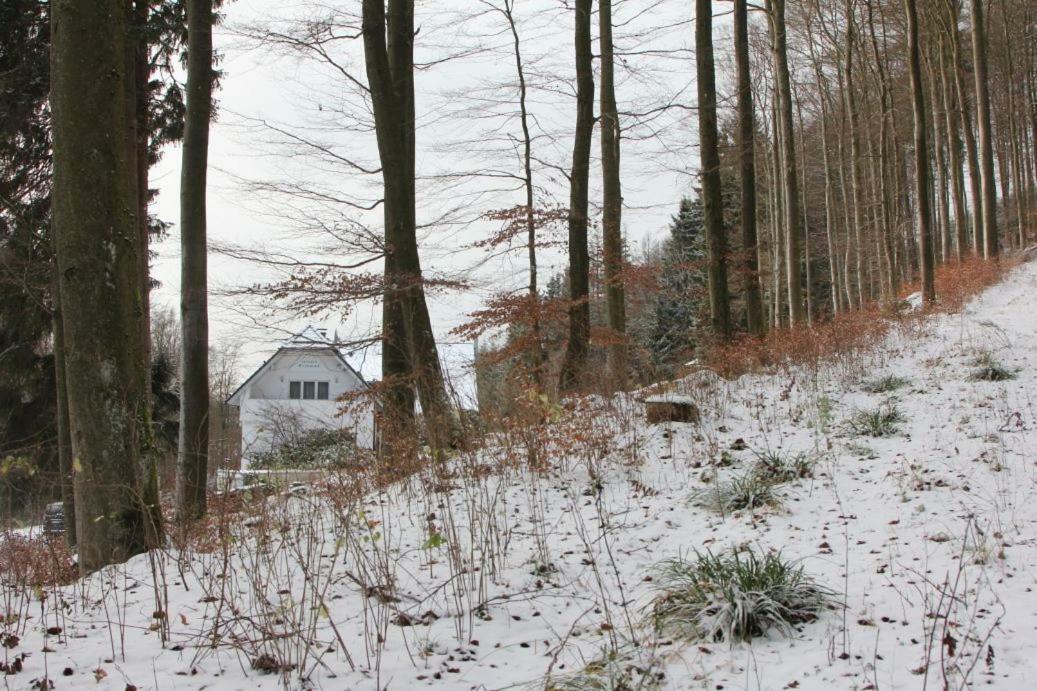 Walddorf Gasthuis 2*