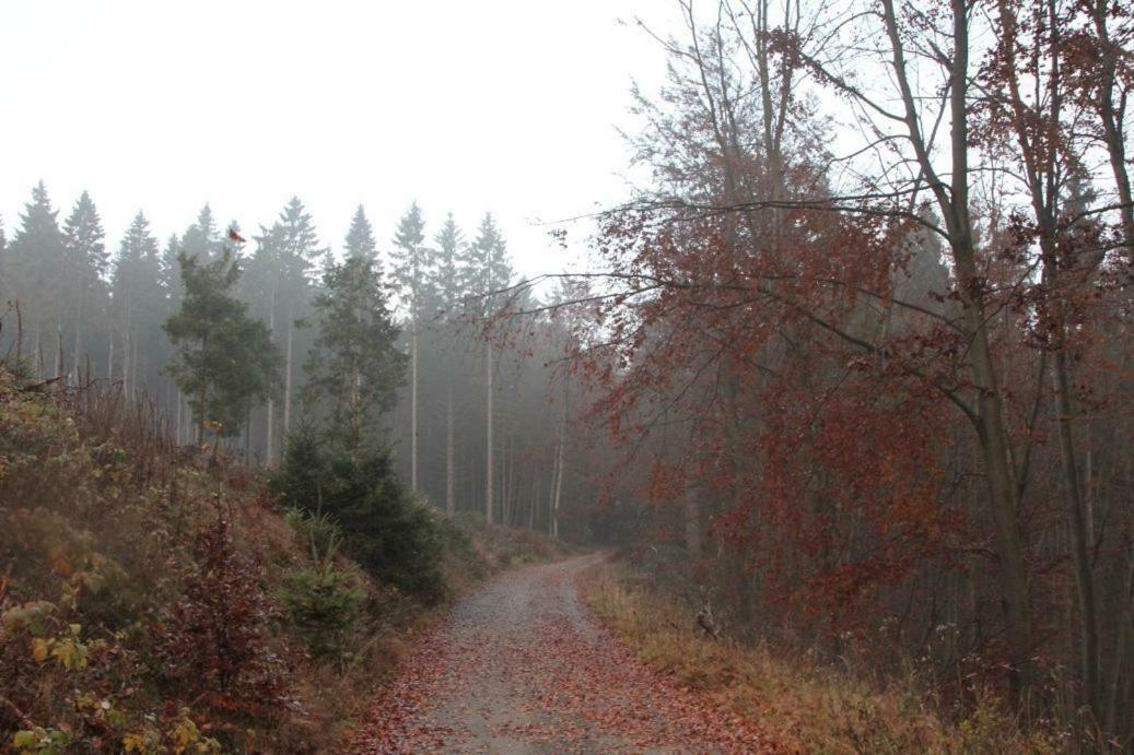 Walddorf